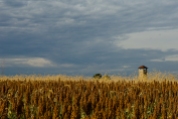 Observation Tower, Antietam National Battlefield Park, Sharpsburg, Maryland, October 22, 2013