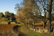Bloody Lane Trail Approaches Roulette Farm, Antietam National Battlefield Park, Sharpsburg, Maryland, October 19 2009